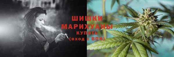спиды Шали