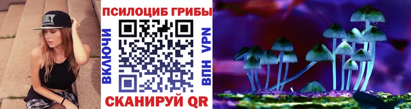 mega ТОР  Агидель  Псилоцибиновые грибы прущие грибы 